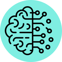 Cross Functional Capabilities