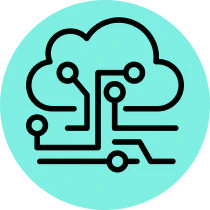 Experience in Critical Sectors